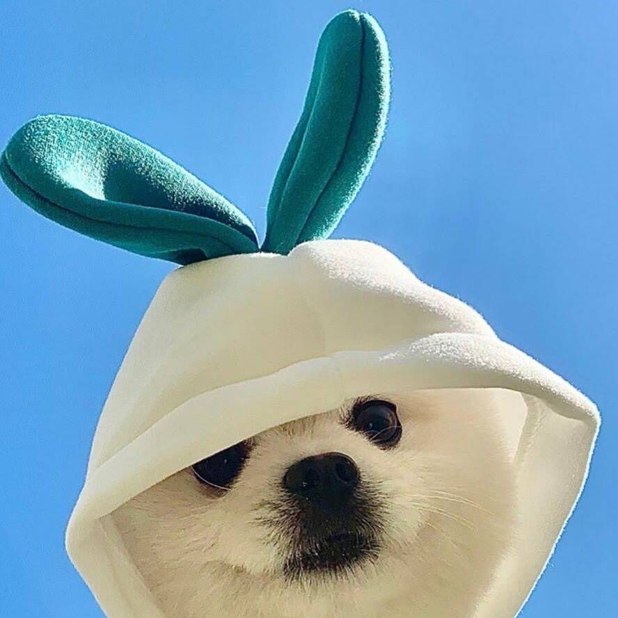 头像
